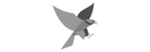 FalconTrader – Referenzkunde von miko®